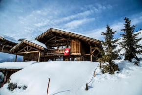 Big luxury Chalet with amazing view